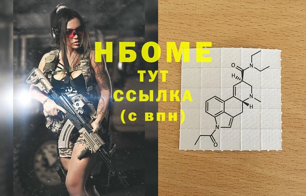 хмурый Арсеньев