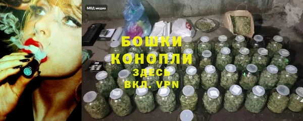 хмурый Няндома