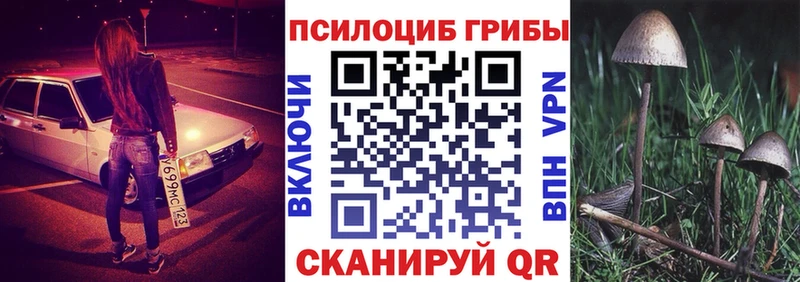 Псилоцибиновые грибы прущие грибы  наркотики  Губкинский 